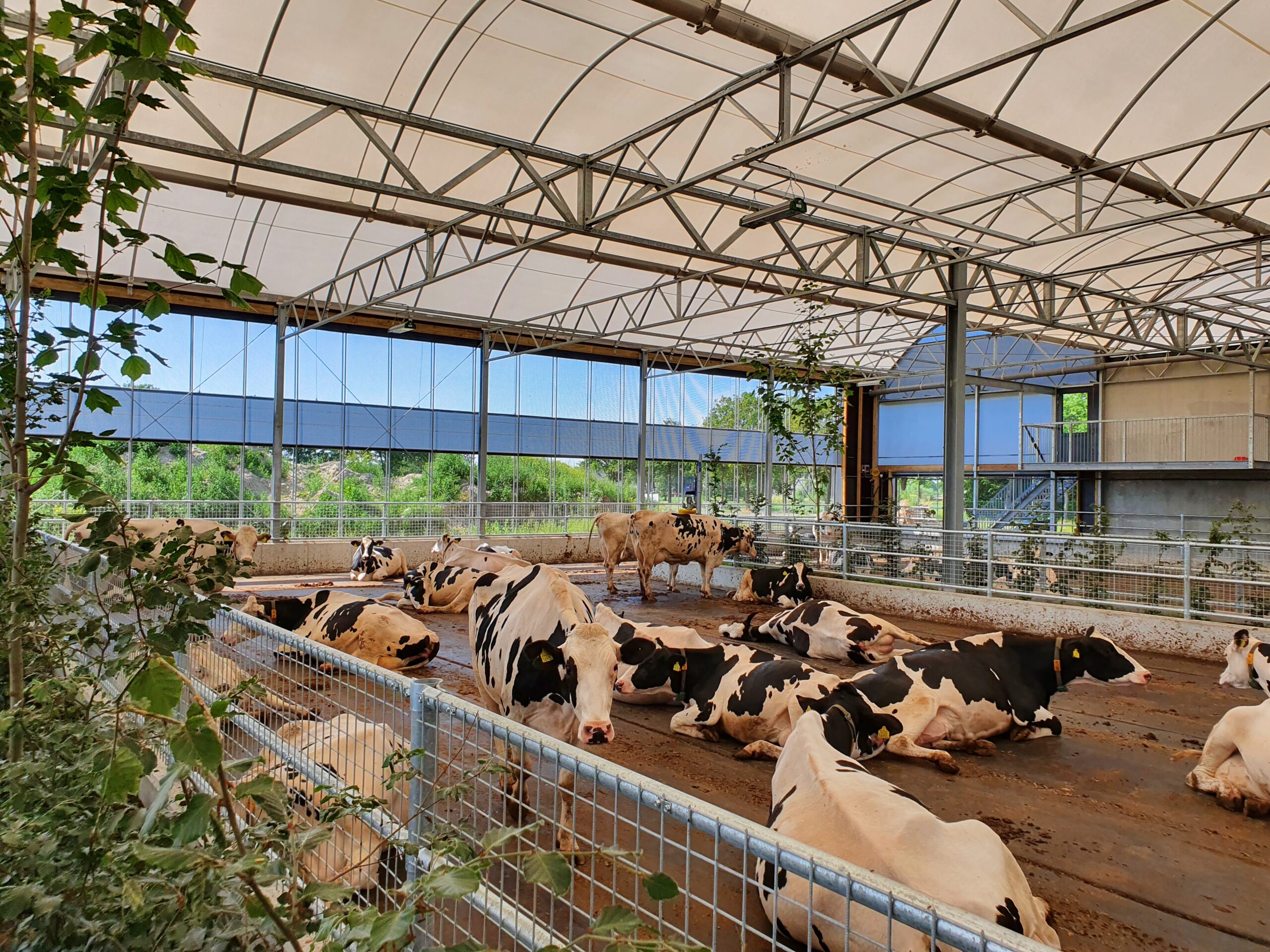 thumbnail_High Welfare Floor Koeientuin Tierelier