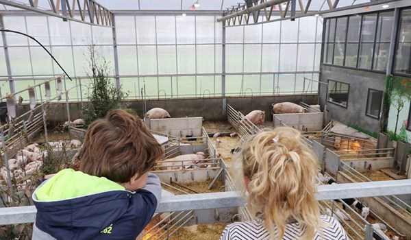 thumbnail_https://idagro.nl/wp-content/uploads/22228102_1714036301963215_5848677446940465464_n.jpg