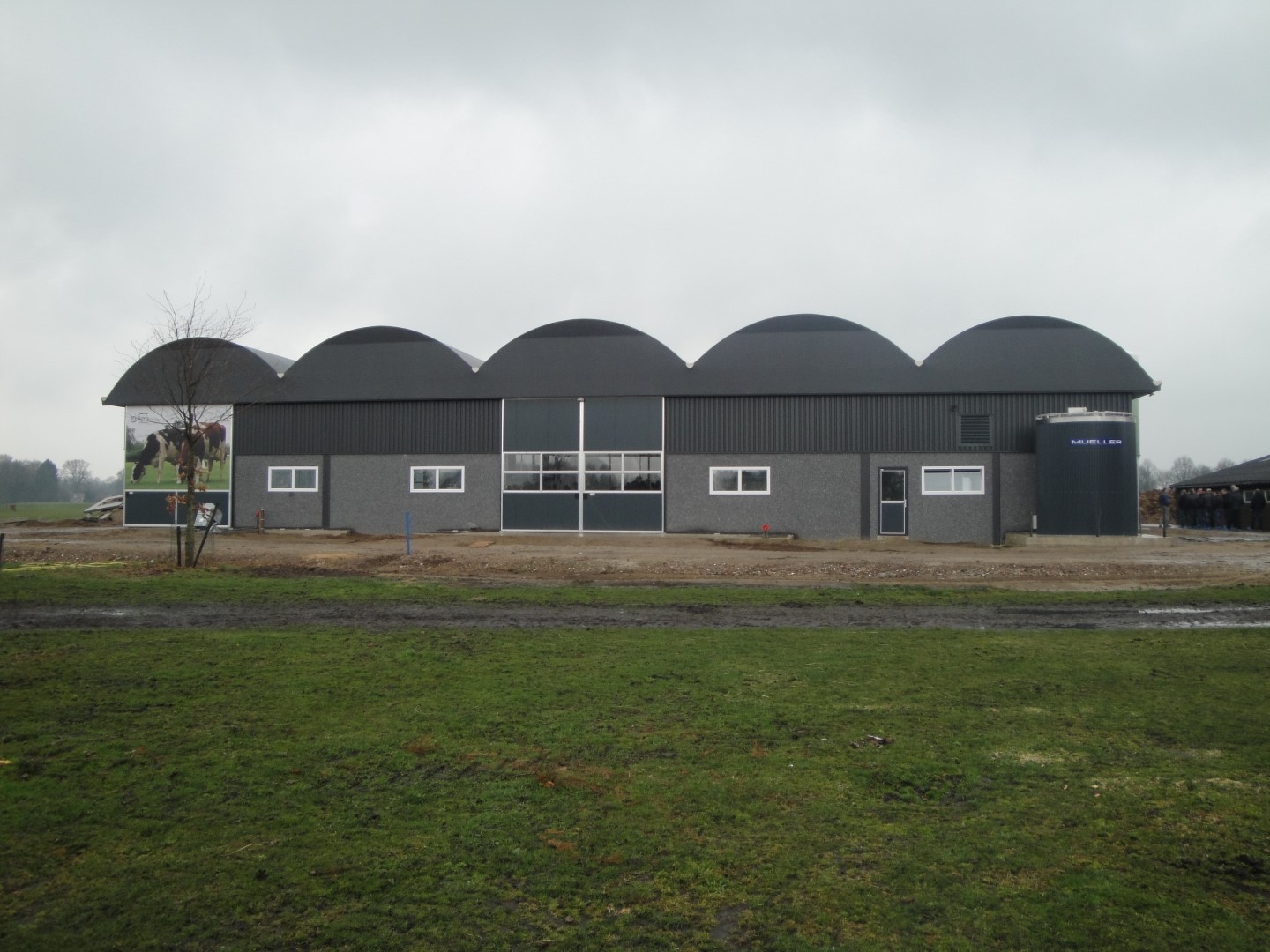 Opgeleverd Serrestal – 120 melkkoeien