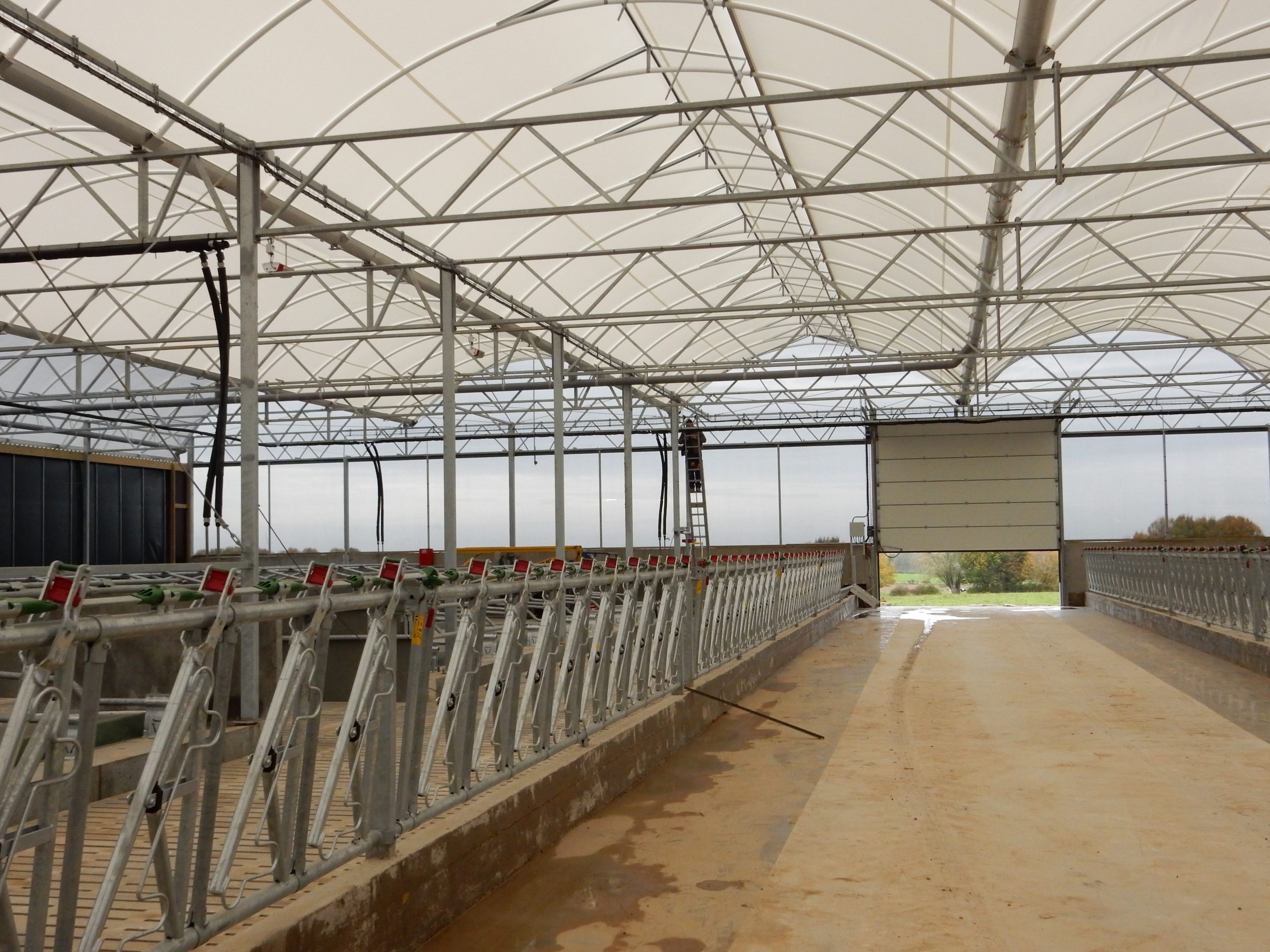 Project te Frankrijk, 240 melkkoeien