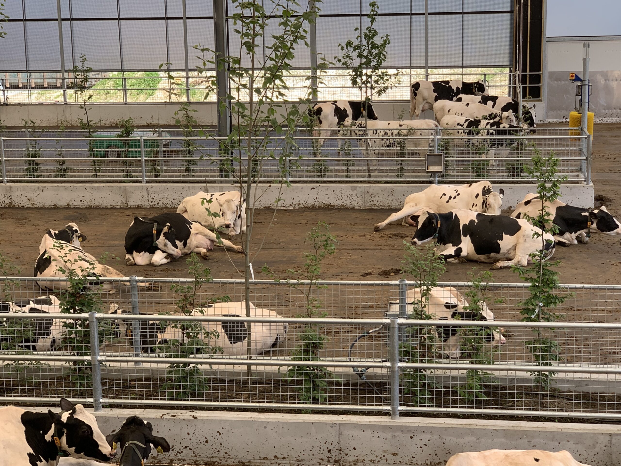 High Welfare Floor