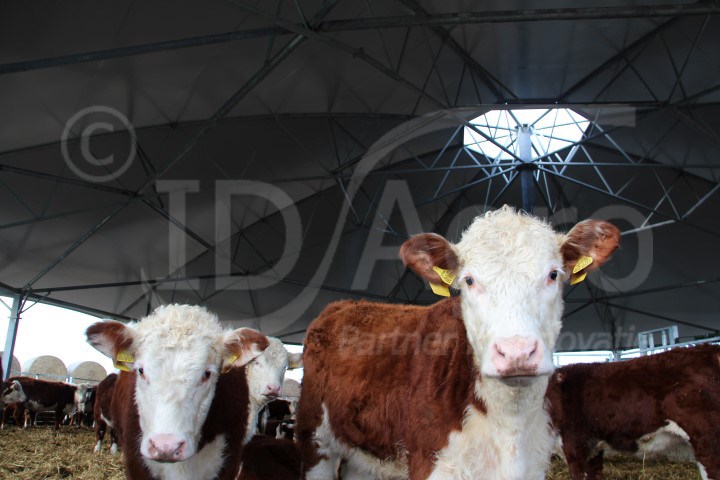 thumbnail_https://idagro.nl/wp-content/uploads/beilrode_13.jpg