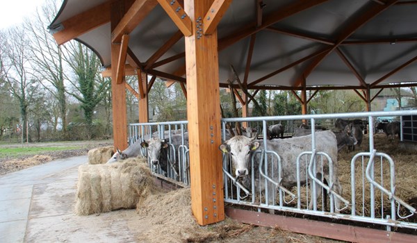 thumbnail_https://idagro.nl/wp-content/uploads/houten-roundhouse-10.jpg