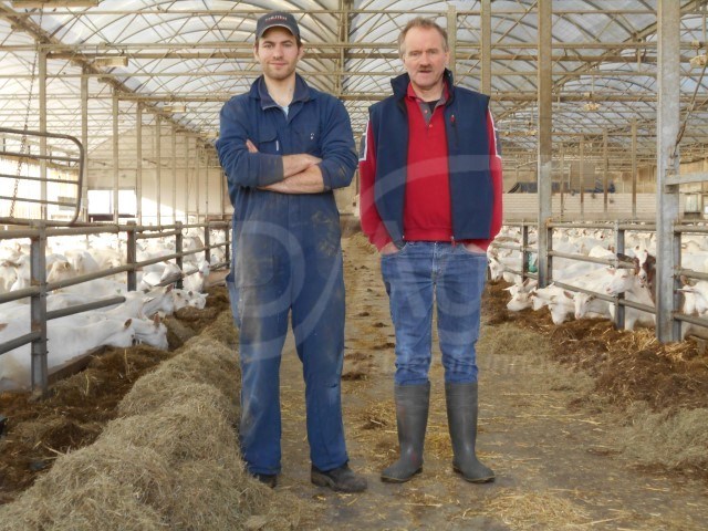 thumbnail_https://idagro.nl/wp-content/uploads/melkgeiten-die-tegen-een-stootje-kunnen.jpg
